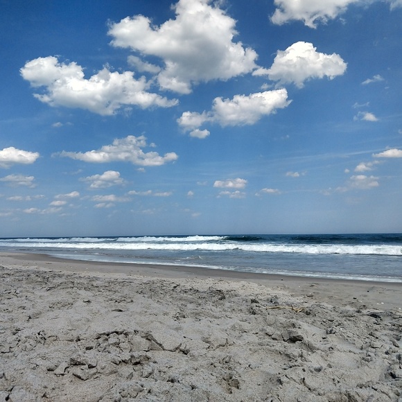 Meet your Posher, Ursula - Picture 1 of 1